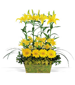 Dried Flower Arrangements on Tropical Flower Designs Flower Basket Designs Ikebana Story And