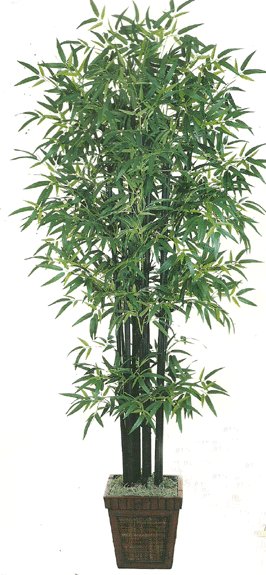 84 inches Bamboo Tree