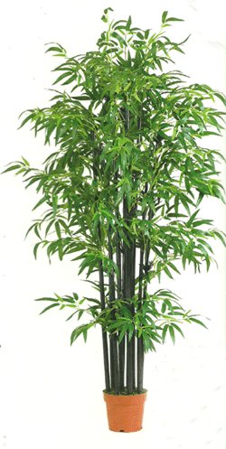 75 inches Bamboo Tree