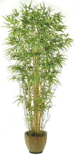82 inches Twiggy Bamboo Tree