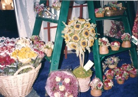 Dried flower display