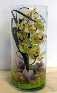 Modern Flower arrangement featuring a Cymbidium orchid in glass vase with lily grass accent
