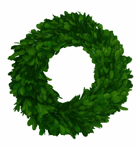preserved boxwood wreath 10 inch