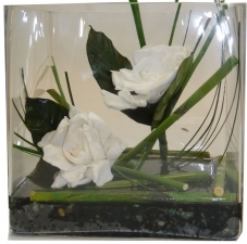 Preserved Gardenia white arrangement in glass vase