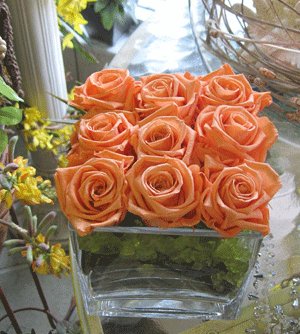 Preserved orange roses arrangement by Paolo