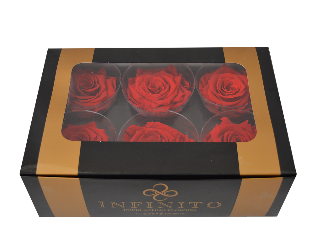 Six red roses box