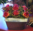 Protea's flower arrangement