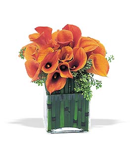 Modern flower design with orange calla lily