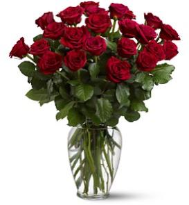 Valentine Day 3 dozen red roses. Classical rose arrangement