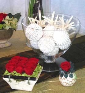 Preserved roses and shells