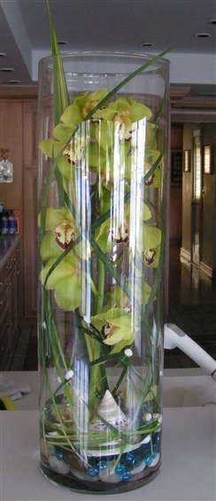 Green Phalenopsis orchids in glass