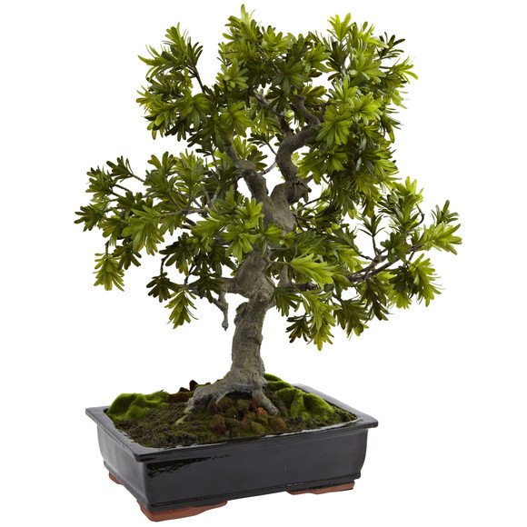 Silk bonsai tree