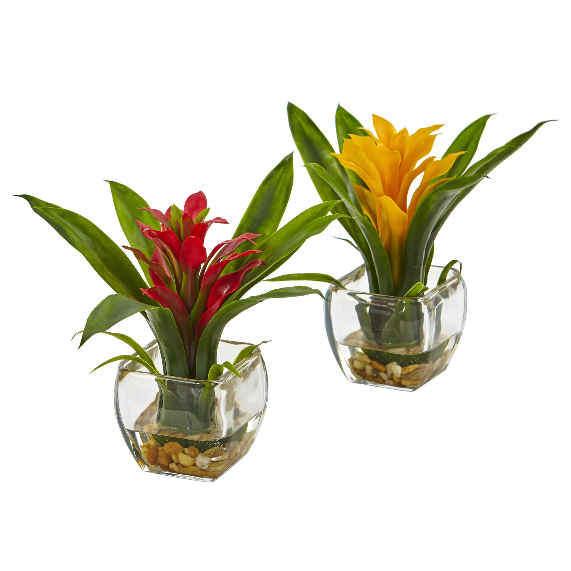 set of two tropical bromeliads flowers. With bold yellow and red petals. Lush green leaves grow vertically to cushion the flowers. Square glass vases with neutral pebbles and faux water.