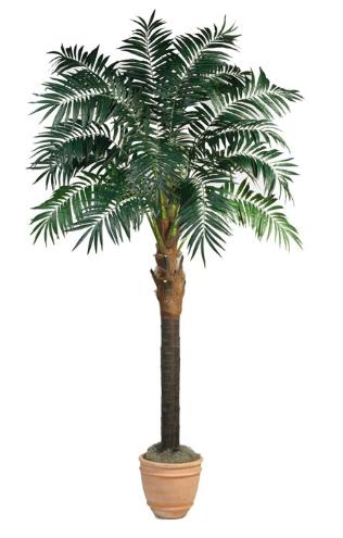 Bulb Areca Palm tree 9 inch
