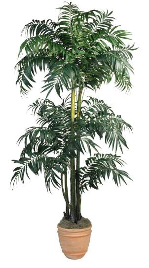 Potted Bulb Areca Palm. 116 inch