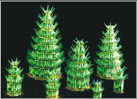 Lucky bamboo towers