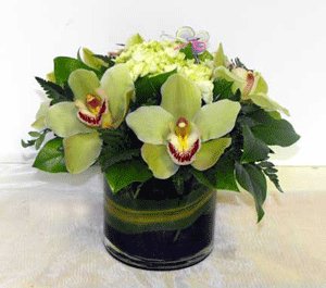 Cymbidium orchid blooms used in shorter vases