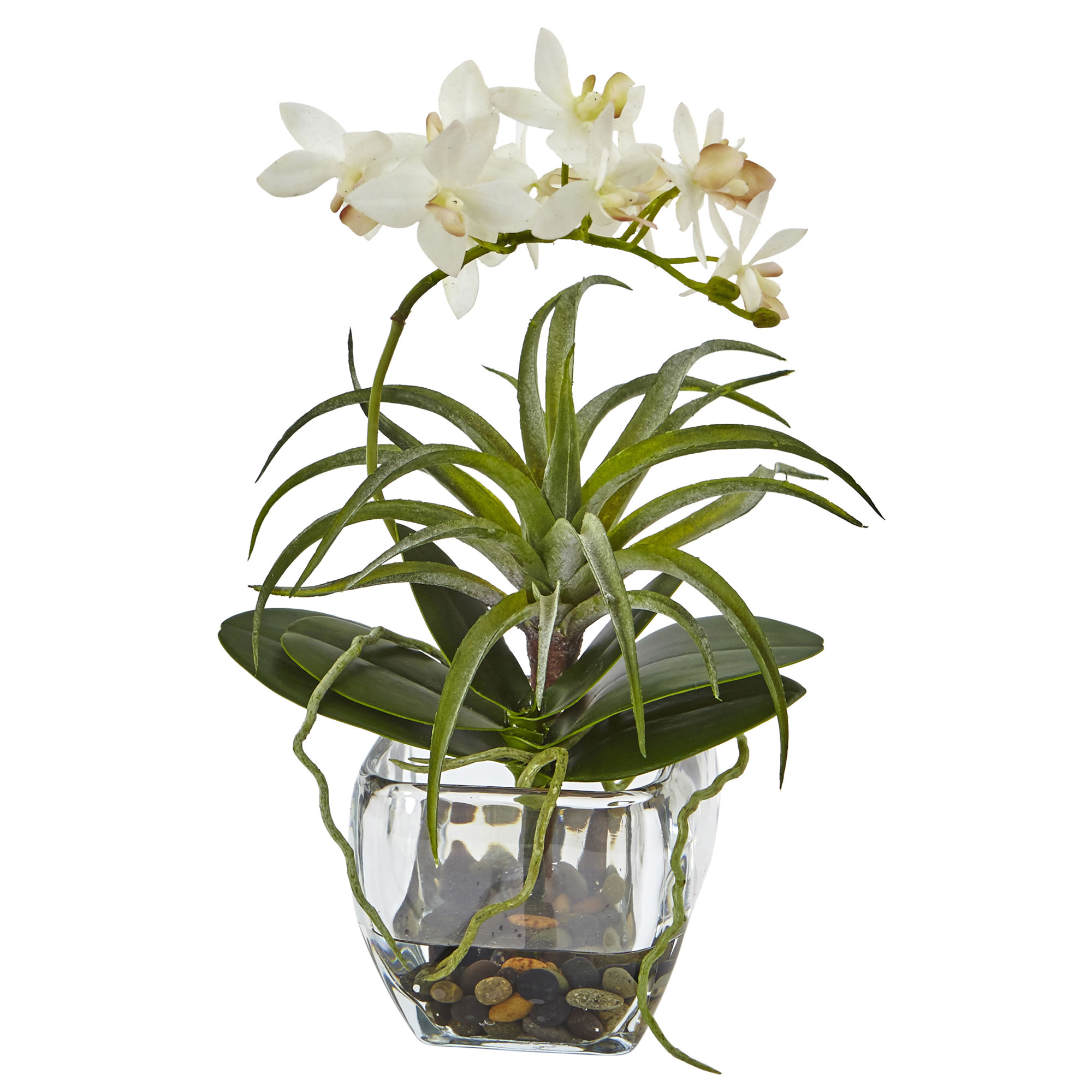 White orchid arrangement