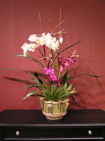 White and purple orchids in ceramic pot. By Paolo Calvenzani