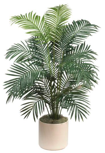 Paradise Palm 68 inch