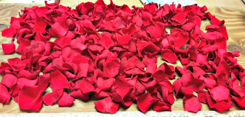 Preserved red roses petals