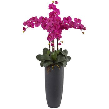 Phalaenopsis Orchid Arrangement With Bullet Planter
