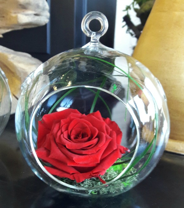 Glass terrarium with a preserved red rose