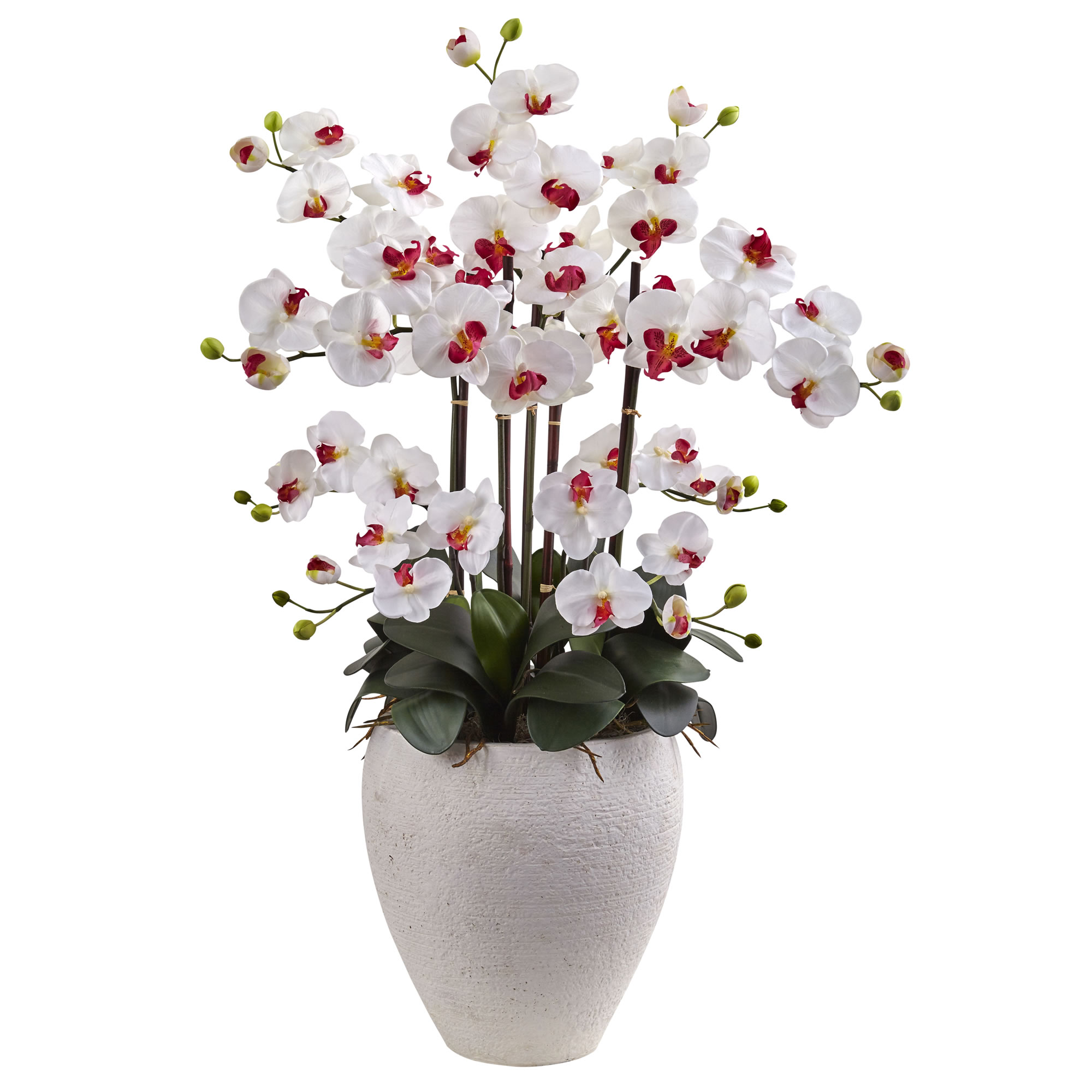 White cymbidium orchids arrangement