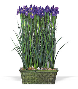 Parallel design. Iris flowers in basket.