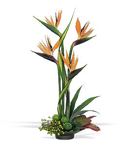 Tropical flower design featuring birds of paradise. Zen