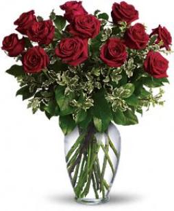 Valentine Day 1 dozen red roses. Classical rose arrangement