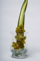 Wholesale glass vase. Bell collection
